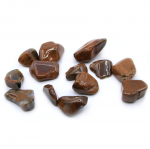 Ancient Wisdom Suakmenėjusi mediena (24 vnt. L dydžio)