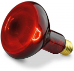 BEURER LEMPUTĖ 100W (IL 11), pakaitinė lemputė Beurer IL 11 lempai