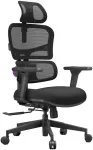 Ergonominė kėdė Spacetronik LUMBO 33 juoda