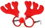 Fiesta Rudolfas Brille