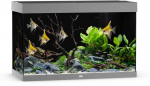 Juwel Aquarium Rio LED 290 L pilka