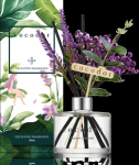 Drėkintuvas Cocodor April Breeze levandų difuzorius 200 ml
