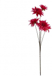 Nežinomas &Scaron;AKA DIRBTINĖ 318805330 111CM 4 DIZAINAI