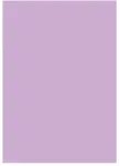 Folia A4 popierius 130 g 50 lapų, Lilla 300x10x210 mm 0,38 kg (50 vnt.) - (50 vnt. pakuotėje)