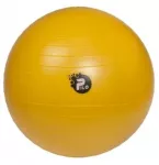 Reha Fund ABS PILO-1045 REHAFUND Rehabilitation Ball