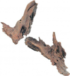 Zolux Mangrovių &scaron;aknys 25- 40 cm