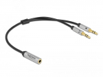 Delock Adapteris 1 x 3,5 mm 4 Pin Klinkenbuchse zu 2 x 3,5 mm 3 Pin stecker