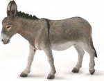Collecta Surinkti Surinkti BARNAS (BARNAS)