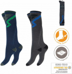 Ilgos frotinės termo kojinės vyrams Footstar 71926, 2 poros
