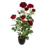 Atmosphera Dirbtinis augalas BUSH rožių vazone, 74 cm, raudonas