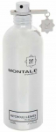 Montale Paris Montale Patchouli Leaves EDP parfumuotas vanduo unisex, 100 ml