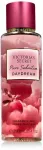 Victoria Secrets Victoria's Secret Pure Seduction Daydream BOR W, 250 ml