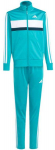 Adidas sportinis kostiumas