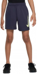 Nike &Scaron;ortai Paaugliams B Nk Df Multi + Short Gx Pilkas DX5361 015