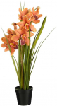 Dirbtinė cimbidija vazone H71cm oranžinė