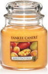 Yankee Candle Mango Peach Salsa Scented Candle kvapioji žvakė, 411 g