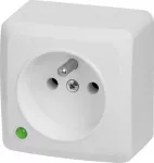 LIZDAS MONTUOJAMAS ANT PAVIR&Scaron;IAUS PAVIENIS BERG/3733-00/EPN 250 V 16 A Elektro-Plast