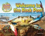 KNYGA Bookshop Welcome to the Rock Pool