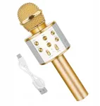 Belaidis karaoke mikrofonas su bluetooth garsiakalbiu, auksinis, puiki dovana