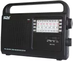 Radio Dartel Ne&scaron;iojamas RD-210 juodas