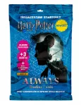 Panini Kolekcja Panini Kolekcija Kortos harry potter magazestaw startowy