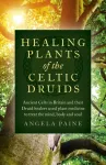 KNYGA Angela Paine Plants of the Celtic Druids