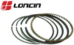 ŽIEDŲ KOMPLEKTAS LONCIN LC1P65FE