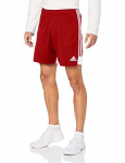 &Scaron;ortai vyrams Adidas Tastigo 19 M DP3681, raudoni