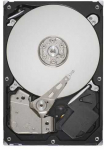 Hewlett Packard (HP) 1TB SATA MSA2 7.2K 3.5 Inch **Refurbished** (Atnaujinta)