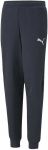 Puma Sportinės Kelnės Paaugliams Active Sports Sweatpants Tr Navy 670076 43