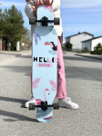 Cooler Stuff Riedlentė longboard flamingas 105 cm.