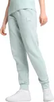 Puma Kelnės Moterims Ess Elevated Sweatpants Mint 685019 67