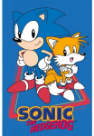 Sonic the Hedgehog Tails rank&scaron;luostis veidui ir rank&scaron;luostis, 30x50cm