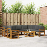 Lauko sofos komplektas 10 pcs Natūralus ir antracitas