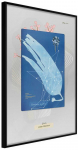 Plakatas - Alga Cyanotype