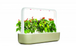 Click & Grow Smart Garden 9 beige