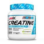Amix Performance Creatine Monohydrate Creapure&reg; 300g.