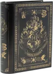 Harry Potter knygos formos taupyklė