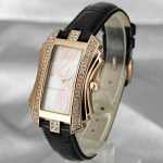 Laikrodis Pierre Cardin PC106022F06