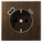 Ki&scaron;tukinis lizdas su A ir C tipo USB jungtimis, padidinta kontaktų apsauga, sendinto žalvario sp.