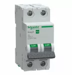 Schneider Automatinis jungiklis C 6A 2P Easy9 Pro EZ9F57206
