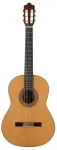 Prodipe Guitars Soloist 700 &ndash; klasikinė gitara