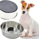 MISKA &Scaron;UNIUI IR KATEI, NERŪDIJANTIS PLIENAS 17CM, GUMUOTAS PAGRINDAS DOGS COLLECTION
