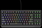 Klaviatūra Genesis Thor 230 TKL RGB Outemu Raudona