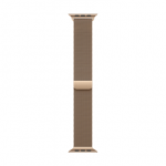Apple 42 mm auksinė Milano kilpa