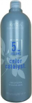Aveda Color Catalyst skystas ry&scaron;kalas, 887 ml