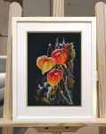 Oven Beldizart Kryželiu siuvinėjimo rinkinys &bdquo;Physalis ant juodo&ldquo; S1617