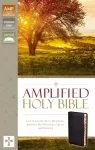 KNYGA Bookshop Amplified Holy Bible, Bonded Leather, Juodas, Thumb Indexed