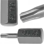 Torx antgalis trumpas tx15 t15 30mm hex 10mm s2 plienas richmann