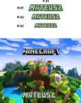 Dėlionė Minecraft + vaiko vardas 252 el. - dėžutė